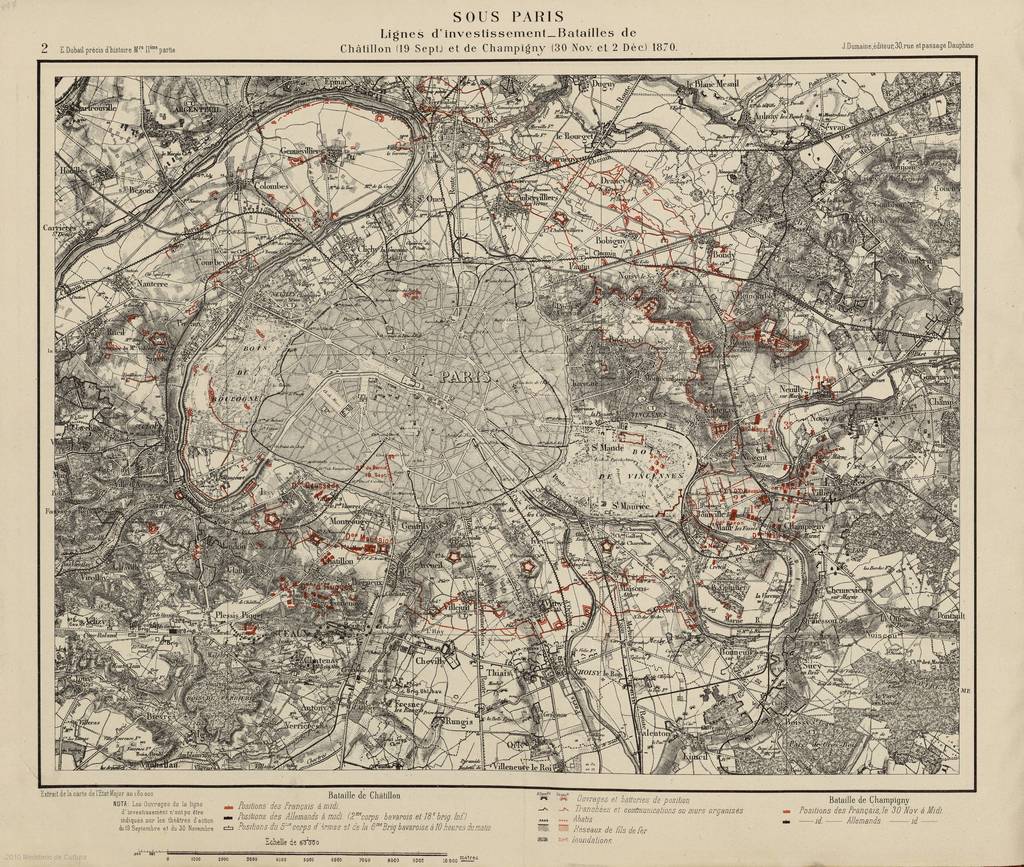 Mollusques: 1. Sèche deux lignes; 2.-11. Sèche à longs bras