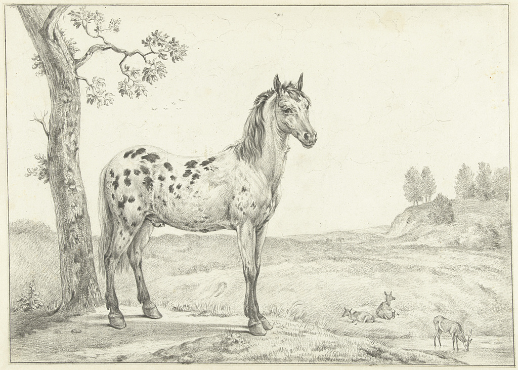 Staand gevlekt paard, naar rechts, in een landschap - PICRYL - Public Domain Media Search Engine Domain Search